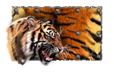 Tiger.png