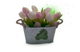 Basket of flowers gift.png