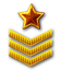 Sergeant-major.png