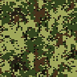 22 02 Holiday colormap.jpg