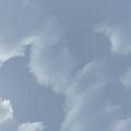 Winter skybox05.jpg